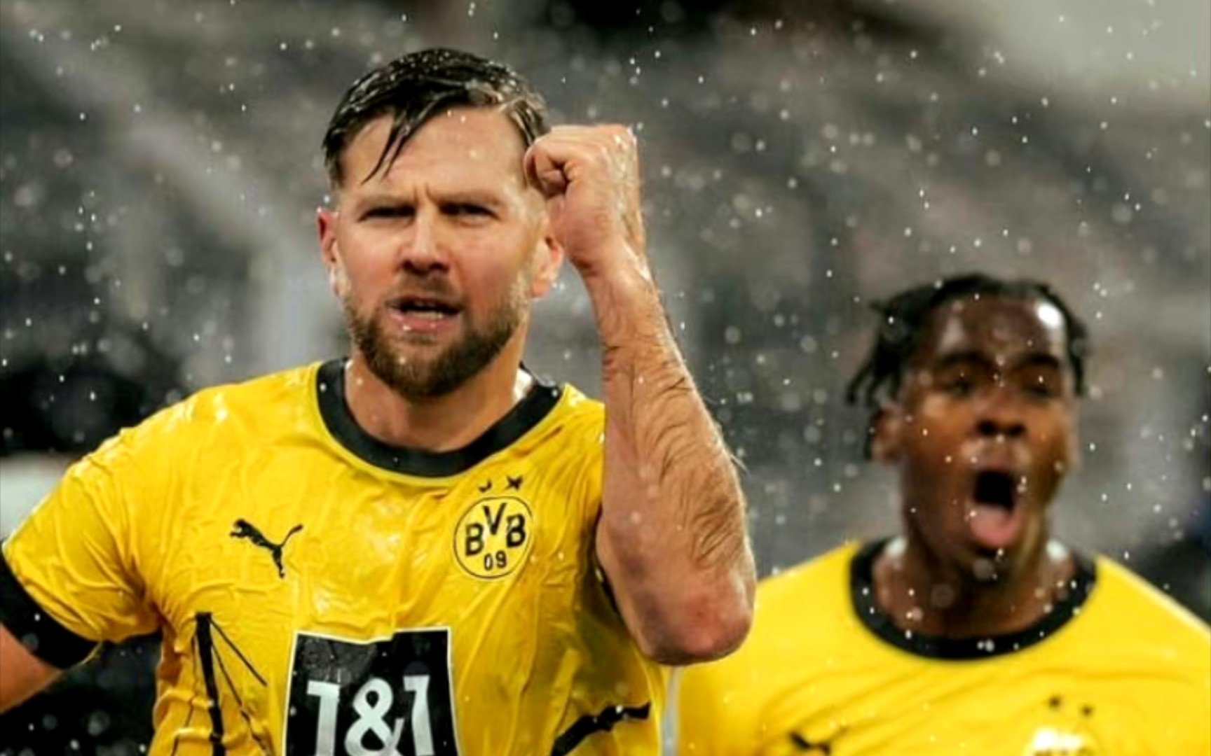 花生油精炼设备(全套生产线)