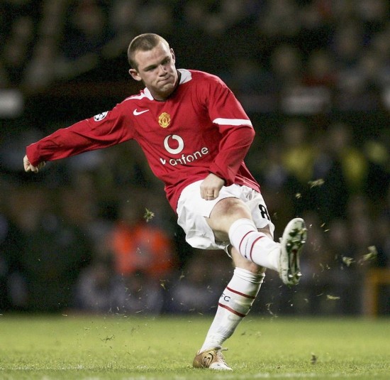 动物油熬炼设备